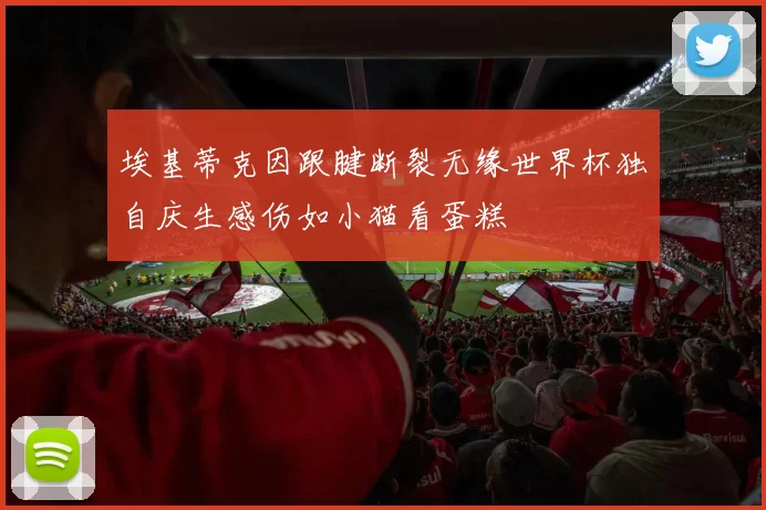 埃基蒂克因跟腱断裂无缘世界杯独自庆生感伤如小猫看蛋糕